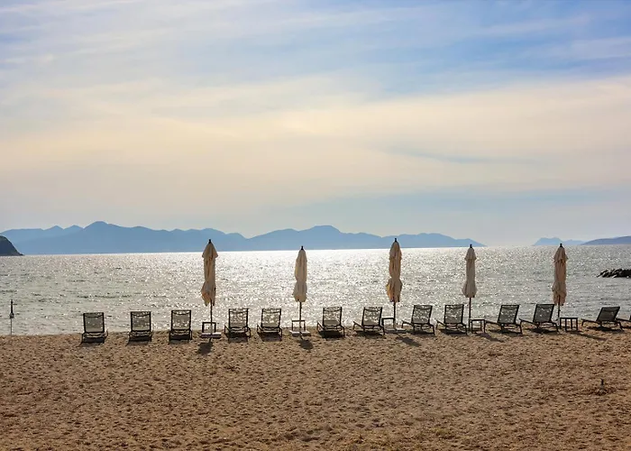 ホテル Bodrum Ada Turgutreis