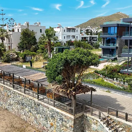 Отель Bodrum Ada Suites Beach Hotel Тургутрейс